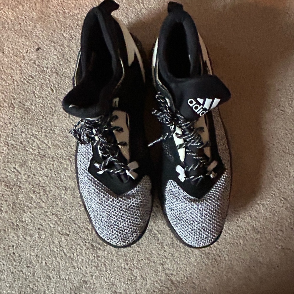 dame shoes size 13